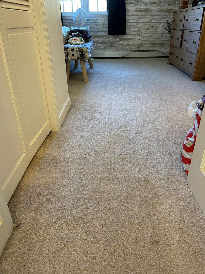 Carpet Cleaning