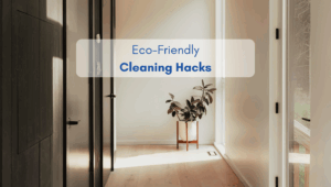 Bright hallway of a North American style home with natural sunlight and a potted plant, illustrating eco-friendly cleaning hacks.