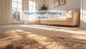 Bright living room in a North American style home with beige carpet, sofa and sunlight highlighting the importance of regular carpet cleaning.