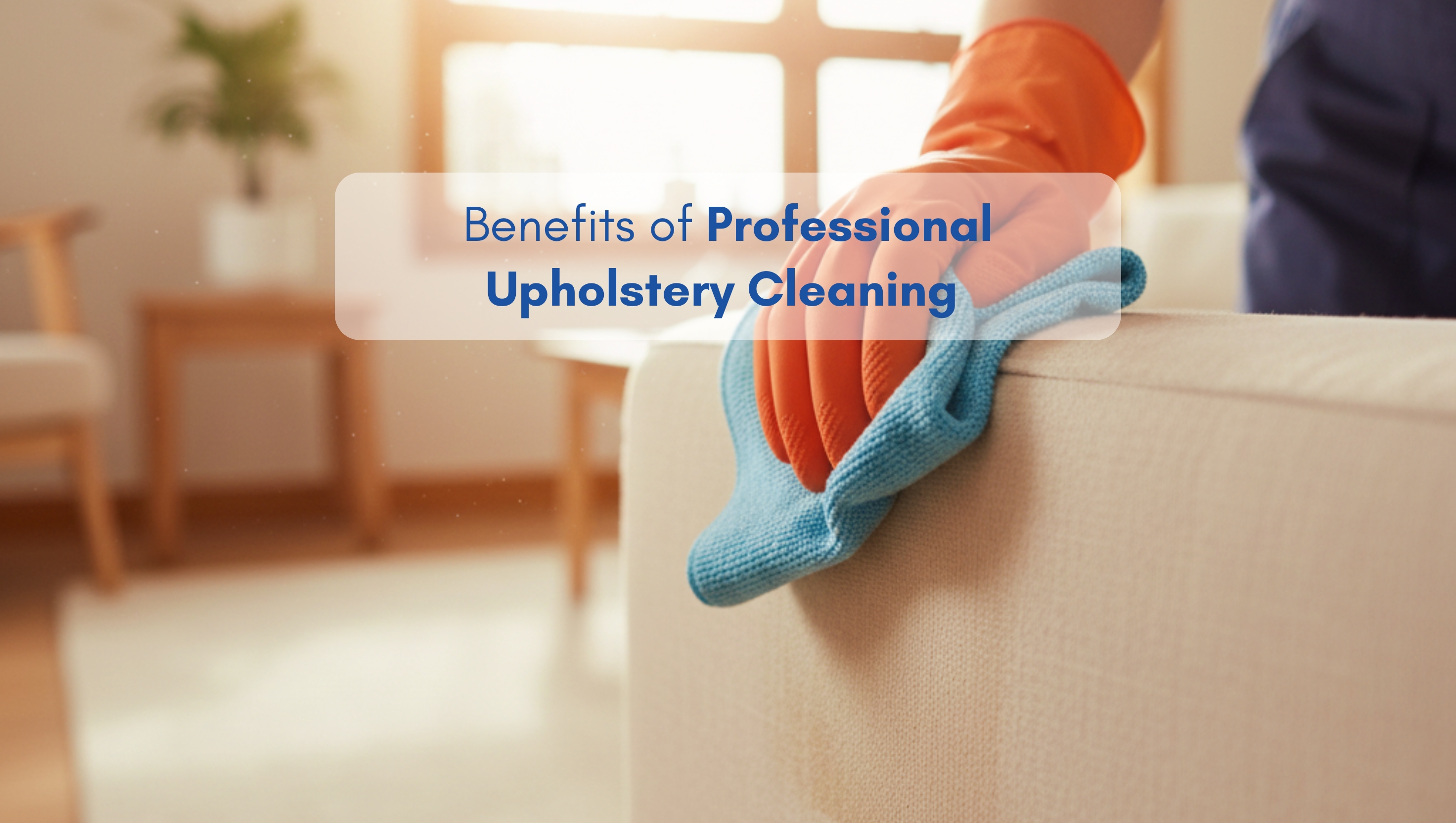 Woman cleaning sofa upholstery in a bright North American living room with a blue cloth.