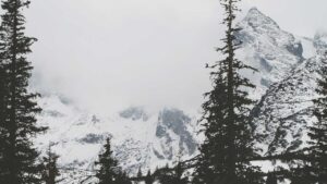 Commercial cleaning services in Bloomfield CT